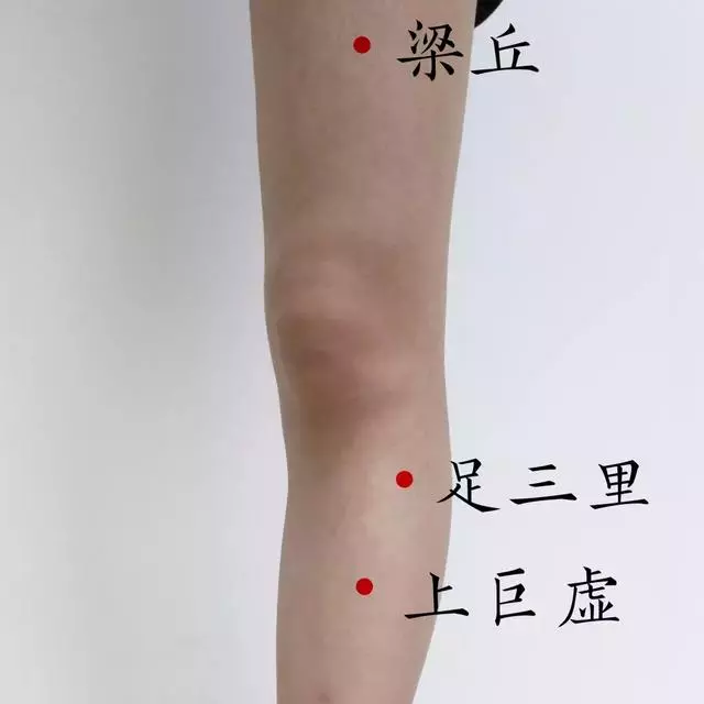 狂吃不積食的秘訣錯過拍大腿