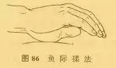 狂吃不積食的秘訣錯過拍大腿