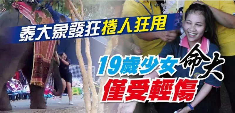 泰大象發狂卷人狂甩 19歲少女命大僅受輕傷