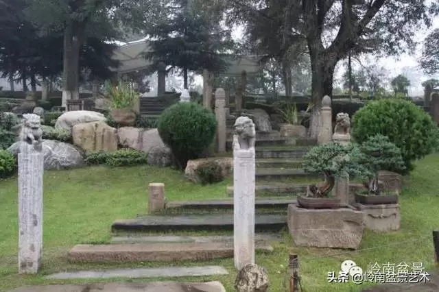 樹樁盆景放置在什麼地方才好?
