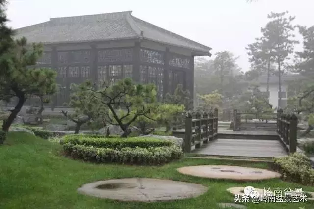 樹樁盆景放置在什麼地方才好?