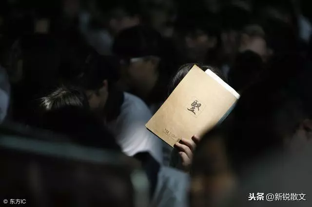 三丫從出生那天起就成了她娘的仇人,娘去世後她終於了理解母親