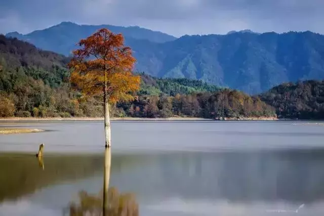真正的財氣,其實是你的人品。(深度好文)