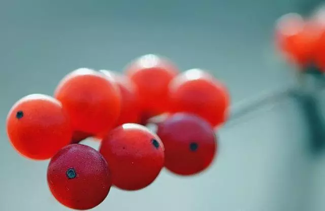 人到四十,做好這五件事,你的人生就成功了