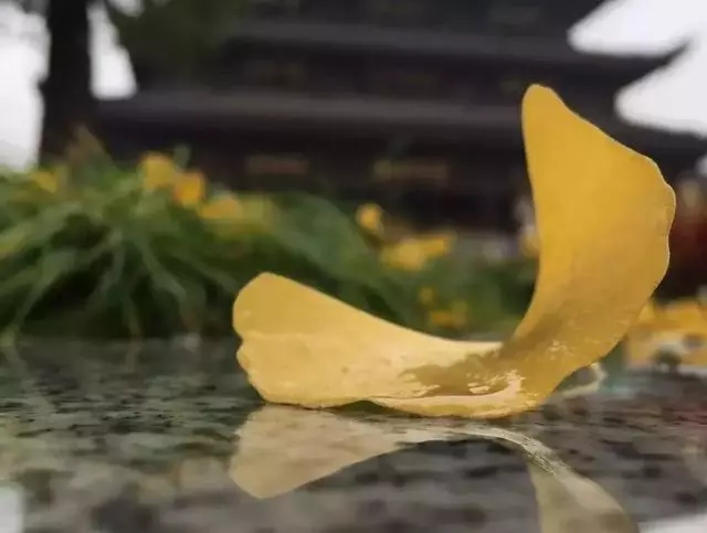 一旦不計較了,路就開闊了