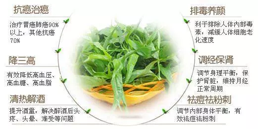 喝了兩個星期的【20幾片葉子】煮的水,她的【腎功能】恢復了 ( 真實成功案例 )。。