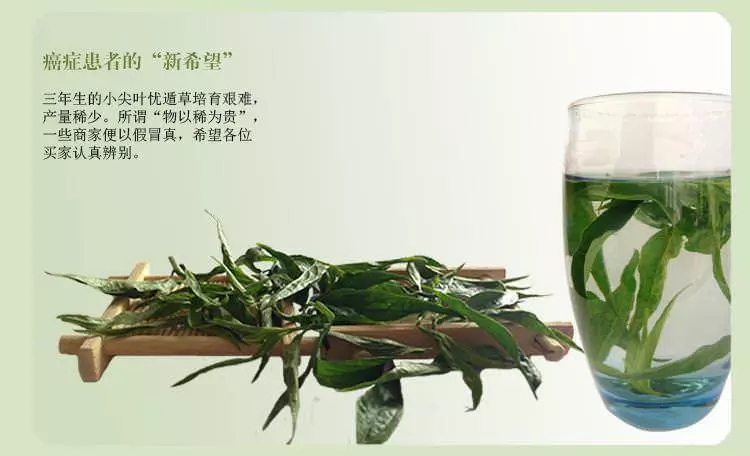 喝了兩個星期的【20幾片葉子】煮的水,她的【腎功能】恢復了 ( 真實成功案例 )。。