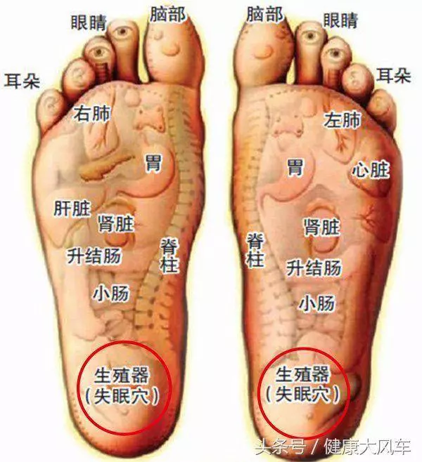 每天按摩腳底15分鐘,1個月後,身體竟有如此神奇的變化!