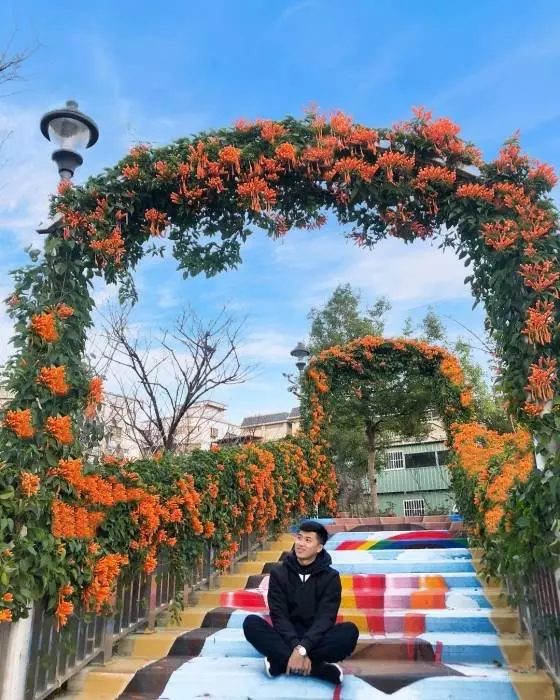 新北景點|鶯歌永吉公園|美美的炮仗花盛開啦~不用跑去苗栗,在新北鶯歌就看得到!
