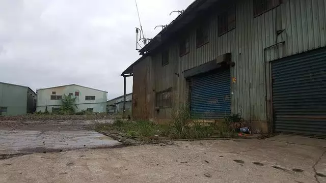 廢品回收站搬遷,忠心土狗被留下,牆上日曆記載著它已被遺棄一年