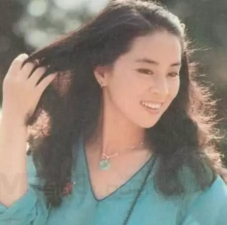7位功夫巨星的11位漂亮老婆,多半是模特,全部認識算你厲害!