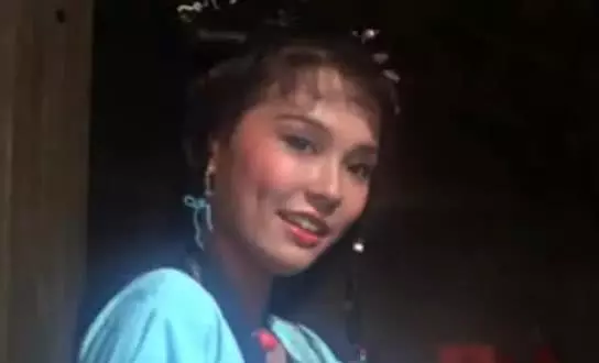 7位功夫巨星的11位漂亮老婆,多半是模特,全部認識算你厲害!