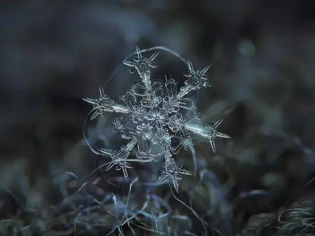 同樣是拍雪,這就是攝影師和普通人的差別!