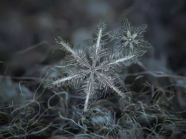 同樣是拍雪,這就是攝影師和普通人的差別!