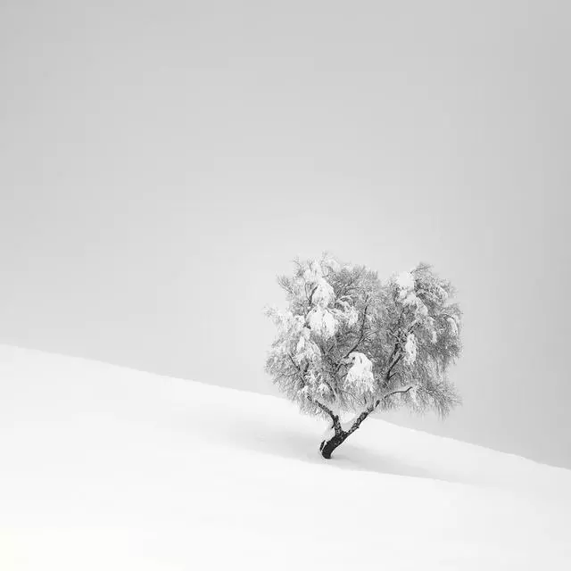 同樣是拍雪,這就是攝影師和普通人的差別!