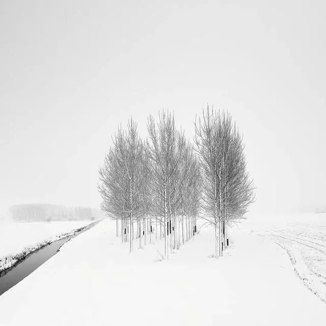 同樣是拍雪,這就是攝影師和普通人的差別!