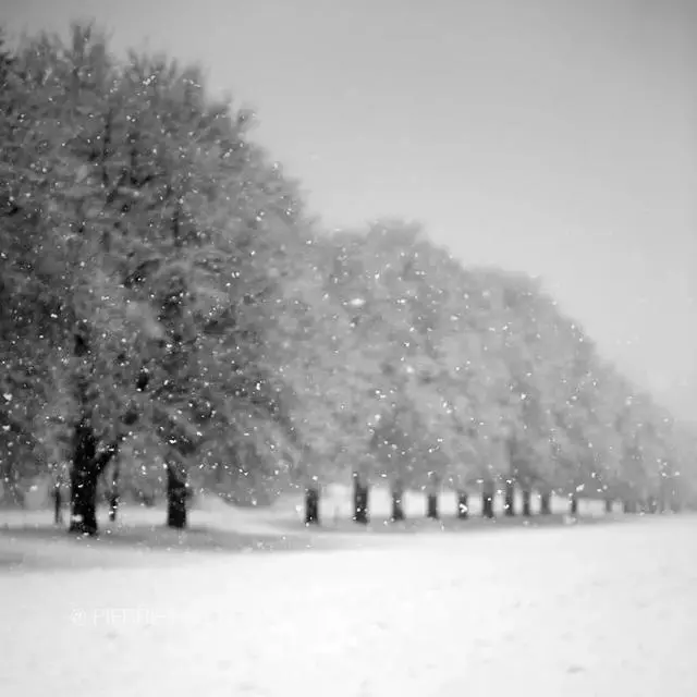 同樣是拍雪,這就是攝影師和普通人的差別!