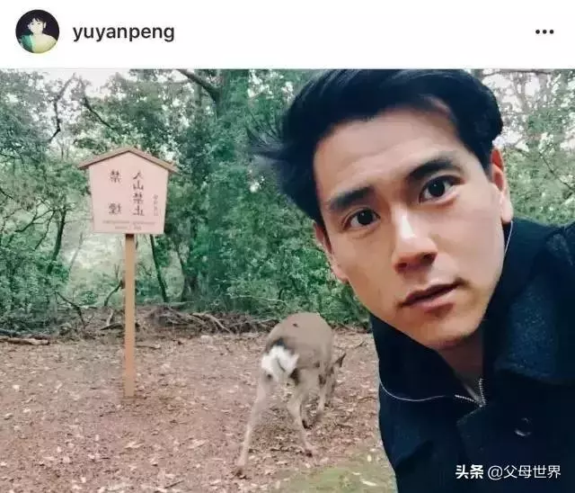 奈良小鹿一年傷了209人!8人骨折!原來鹿有這個反應是攻擊的意思