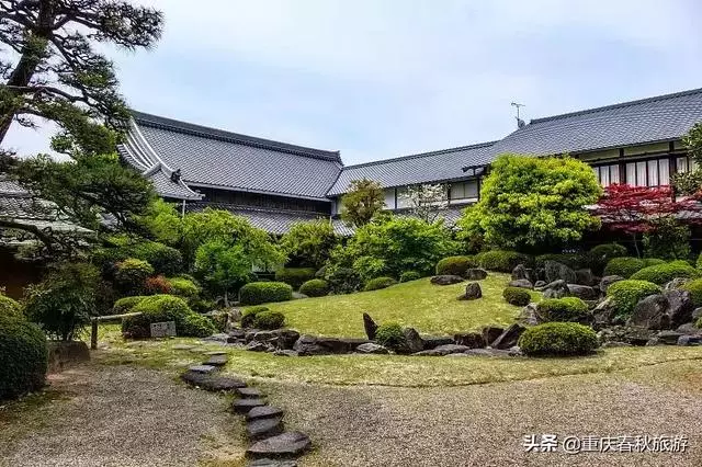 遇見日本最美的"櫻吹雪",2019櫻花全面開放