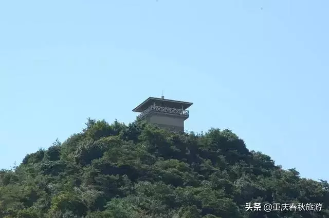 遇見日本最美的"櫻吹雪",2019櫻花全面開放
