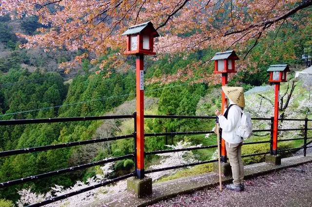 日本旅遊攻略丨四國秘境之旅,從坐火車開始