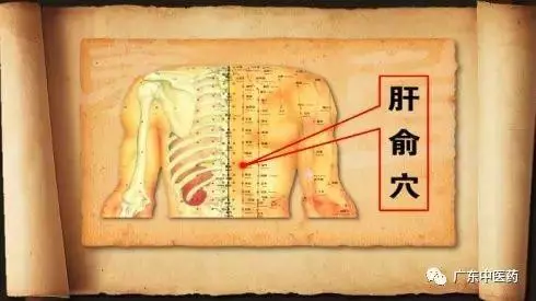 春天巧用這穴位,對養陽大有益處!(附操作手法)