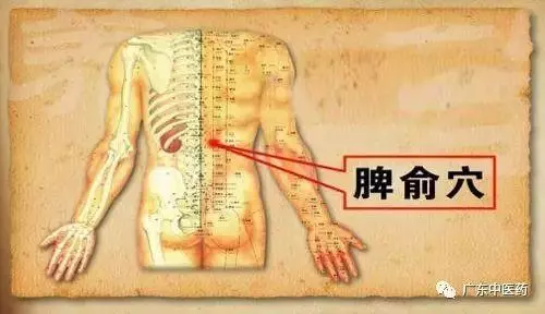 春天巧用這穴位,對養陽大有益處!(附操作手法)