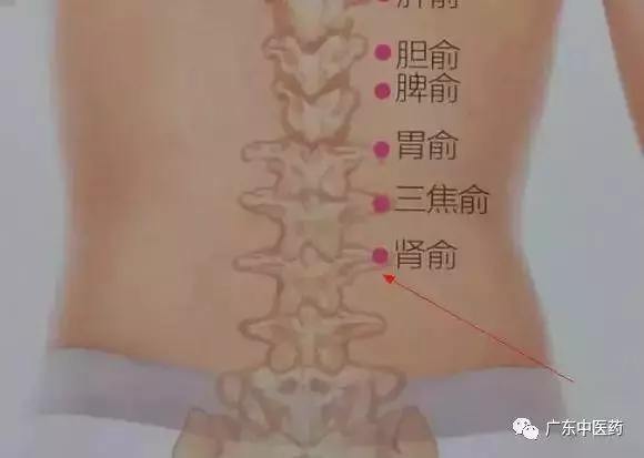 春天巧用這穴位,對養陽大有益處!(附操作手法)