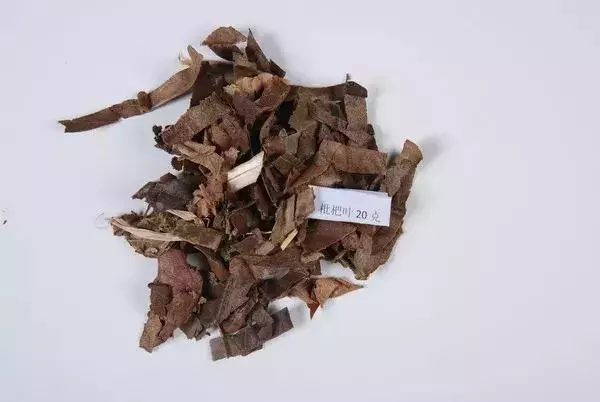 有種水果,花、葉、果都能潤肺止咳!熬夜、K歌後用來煮水喝,舒服