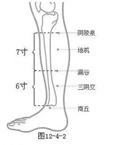 100個《穴位功效大全》,超級實用的中醫知識,收藏起來吧!