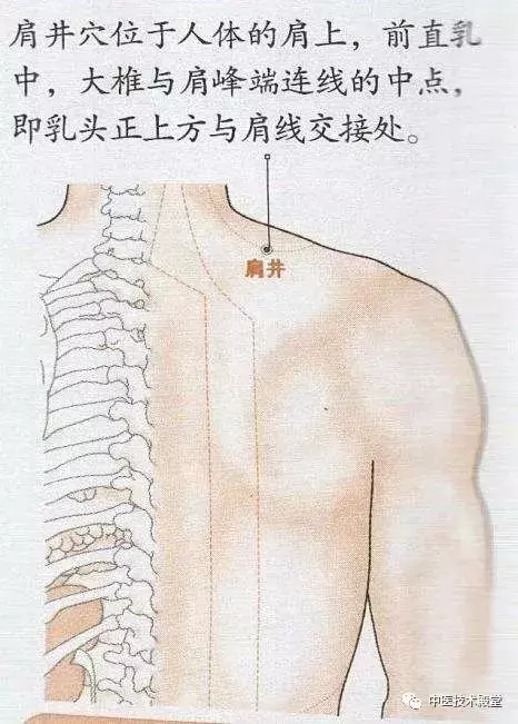 膽經堵,全身都堵!一個穴位暢通全身之氣