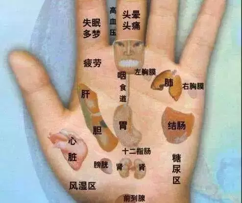 手上有個萬能穴位,每天都按一按,血管通暢心情好!