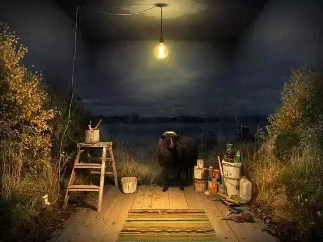 第一遍看這些照片，我還以為自己瞎了！