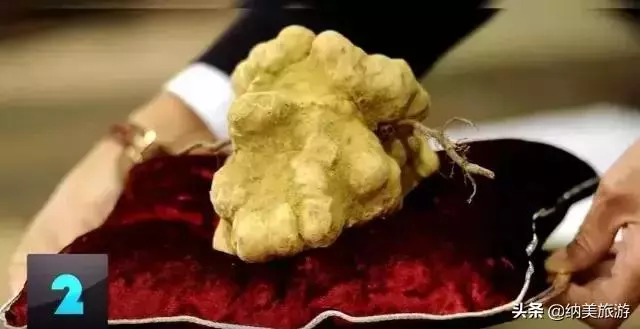 世界上神豪級別的10種食物