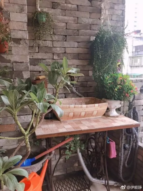49歲伊能靜「台灣豪宅」內部曝光!裝潢極度奢華,網友看到客廳狂酸:「難怪老公不跟她住!」