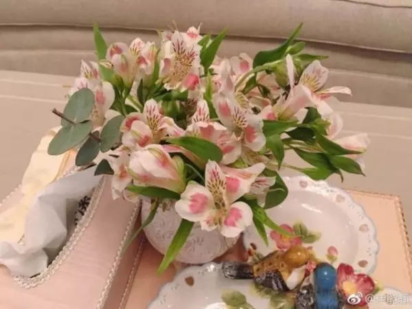49歲伊能靜「台灣豪宅」內部曝光!裝潢極度奢華,網友看到客廳狂酸:「難怪老公不跟她住!」