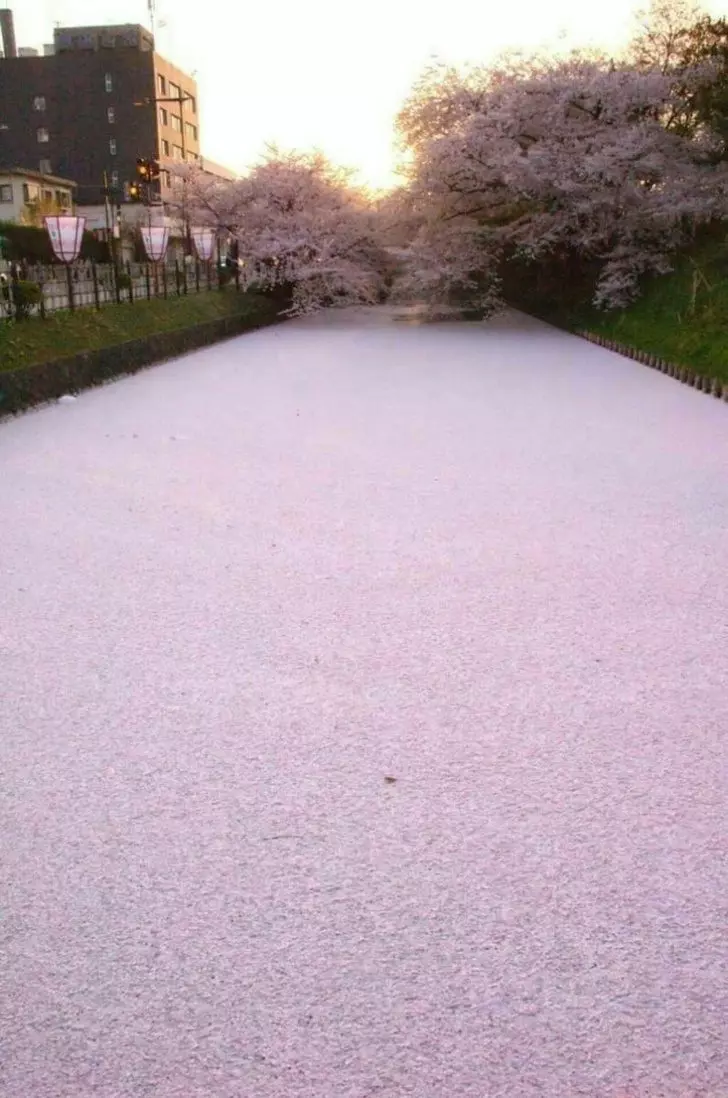 18張「完全沒有用PS修過」的神奇照片 低頭走路卻發現腳下是「龍的皮膚」!