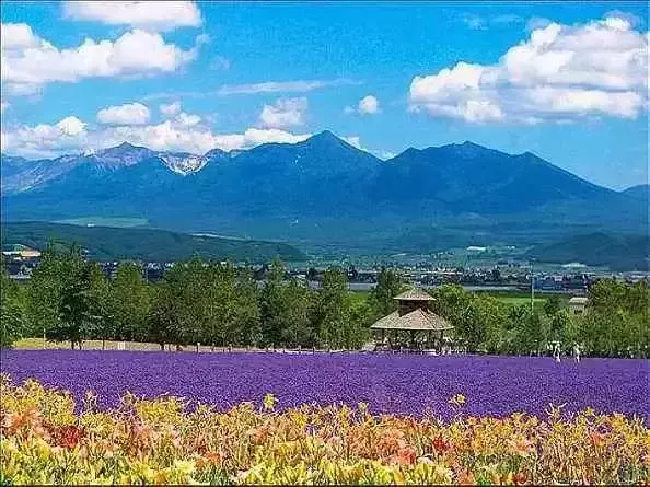 全球8大情人節蜜月旅行地,你去過幾個?