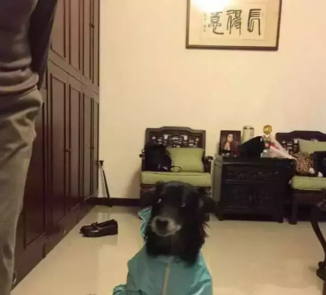 林依晨台北豪宅曝光,家裡裝修非常接地氣,網友:不愧是國民初戀!