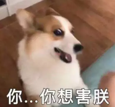 為什麼狗狗更愛吃「便宜」狗糧?