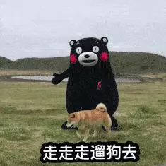 為什麼狗狗更愛吃「便宜」狗糧?