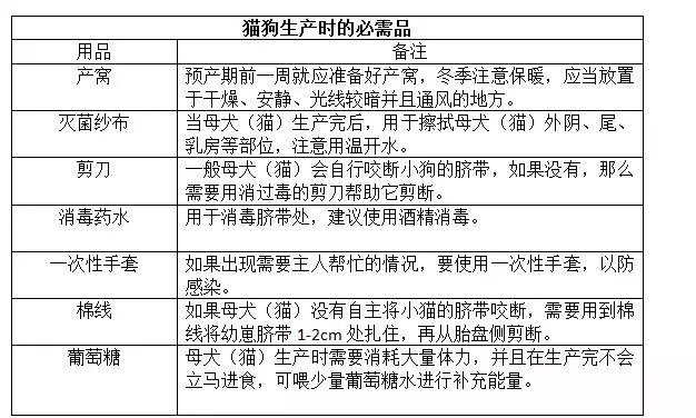 「貓三狗四」的說法正確嗎?貓狗懷孕真需要那麼久?