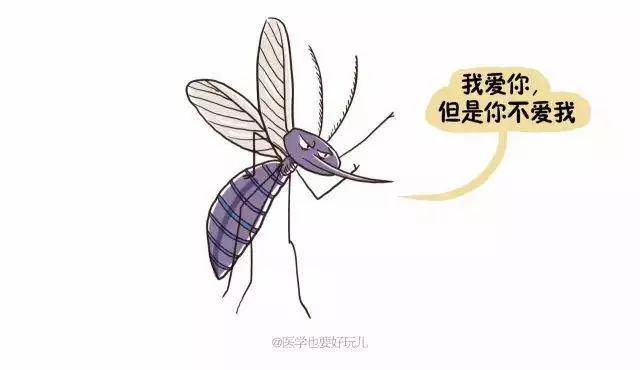 「一關燈就出現,一開燈就消失」原來蚊子竟知道你睡了沒有