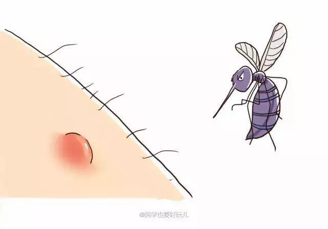 「一關燈就出現,一開燈就消失」原來蚊子竟知道你睡了沒有