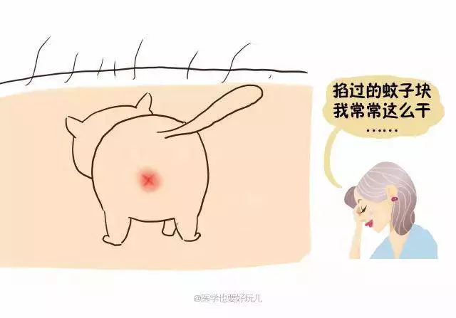 「一關燈就出現,一開燈就消失」原來蚊子竟知道你睡了沒有