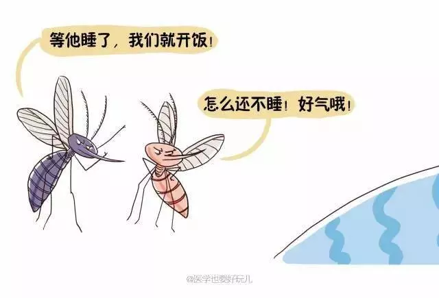 「一關燈就出現,一開燈就消失」原來蚊子竟知道你睡了沒有