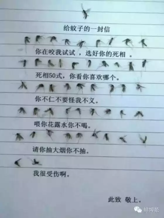 「一關燈就出現,一開燈就消失」原來蚊子竟知道你睡了沒有