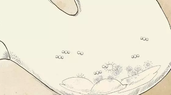 腸胃「油」的人易生病!專家推薦3種「刮油」吃法