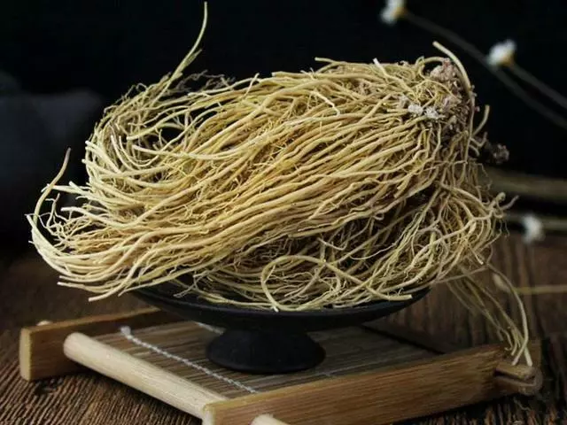 沒想到這種中草藥,卻是調理鼻塞流涕、風濕疼痛、頭痛牙痛的良藥