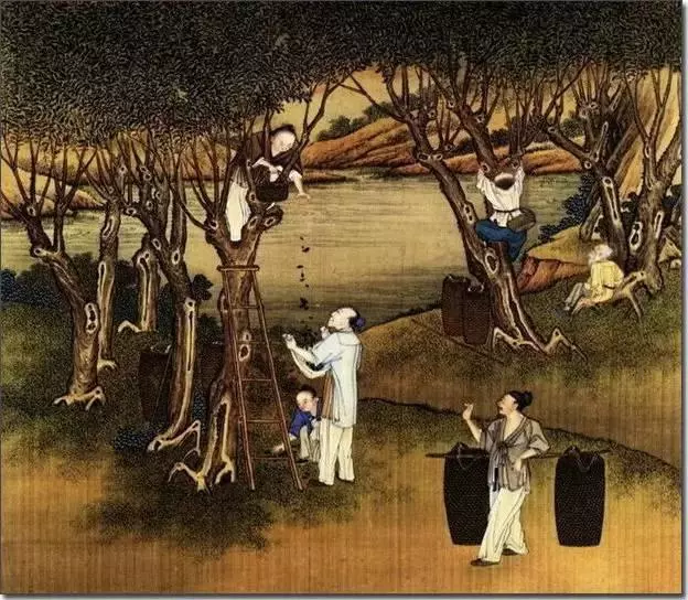 二十四節氣古畫欣賞!太美了,值得收藏!